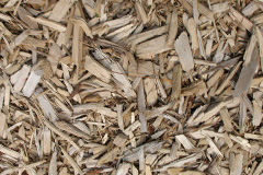 biomass boilers Ousefleet